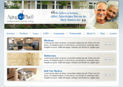 AIP USA Website Services